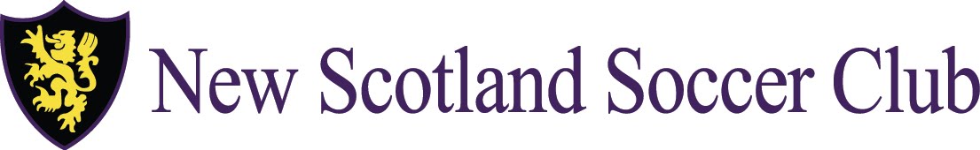 New Scotland Banner