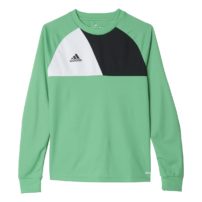 adidas Assita 17 Youth GK Jersey - Green